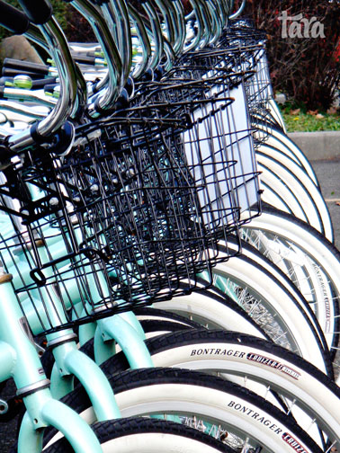 bikes