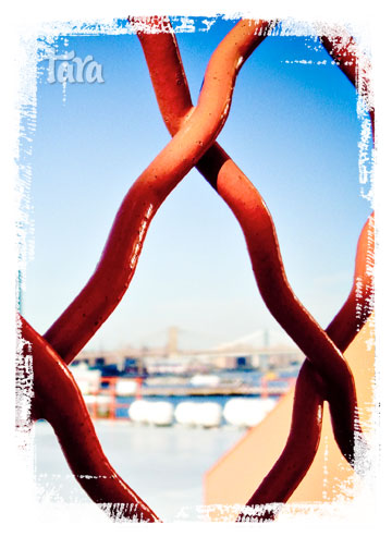 ferry-fence