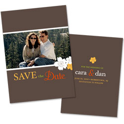 Simple Save the Date 1